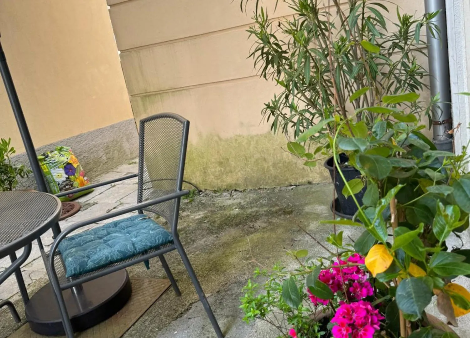 Apartment Mirna - What You See Is What You Get